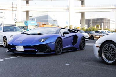 Poppen en verteltheater Nick van der Veer